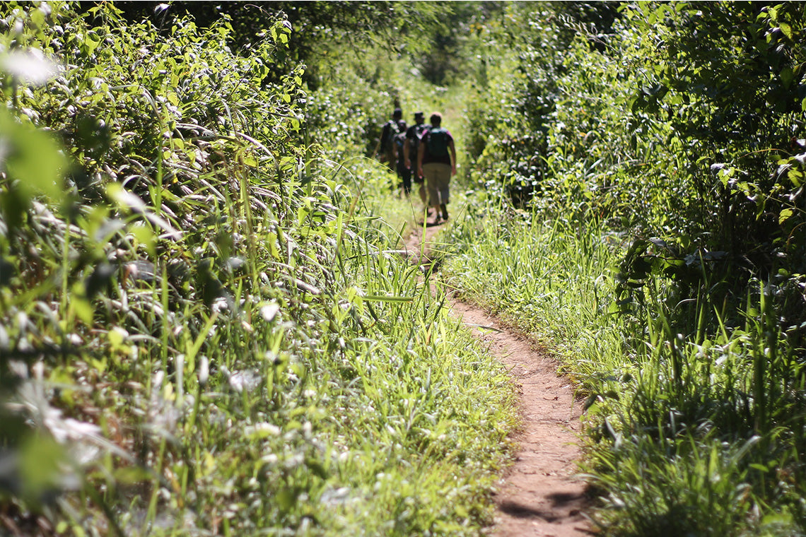 Kuang Si Waterfall Day Trek with Bear Sanctuary Visit