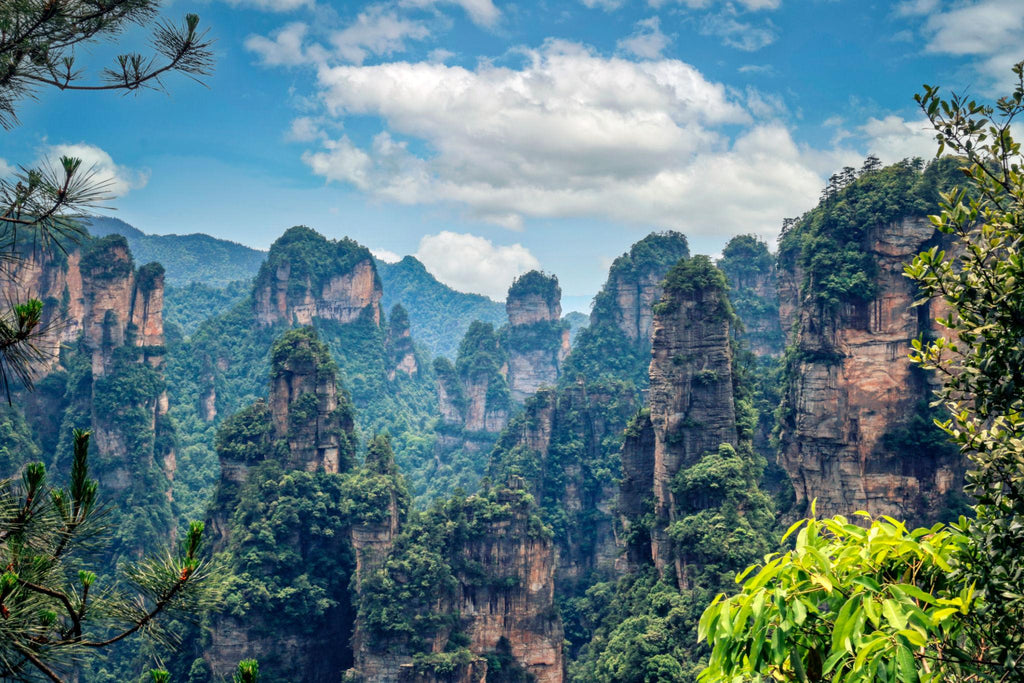 Hunan Zhangjiajie & Changsha 5 Days 4 Nights Tour | Tianmen Mountain & Avatar Mountains