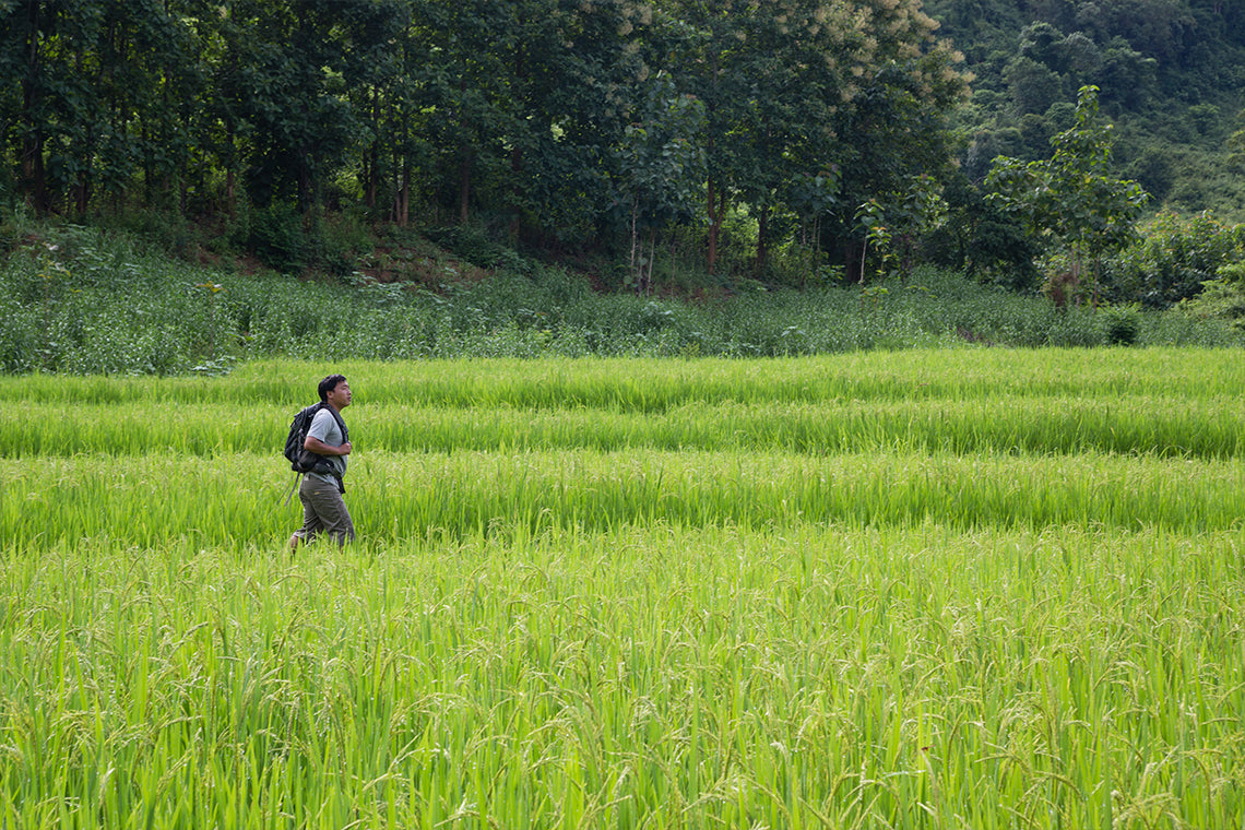 🌿 Nong Khiaw Back Country Explorer (3 Days / 2 Nights)