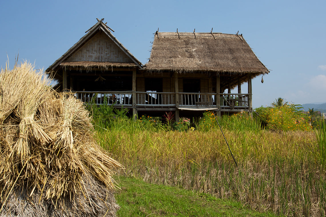 🌾 Rice is Life Experience & Kuang Si Waterfall – Authentic Laos Day Tour