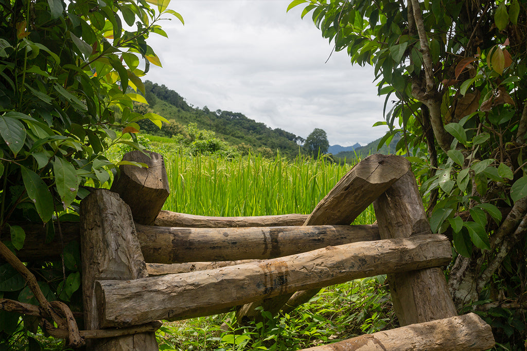 100 Waterfalls Adventure Trek – Full Day Jungle & River Hiking Experience (Nong Khiaw, Laos)