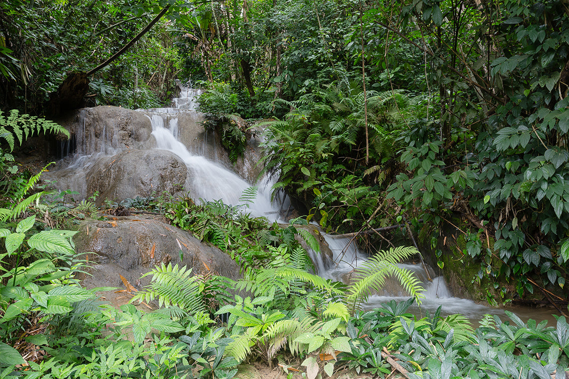 100 Waterfalls Adventure Trek – Full Day Jungle & River Hiking Experience (Nong Khiaw, Laos)