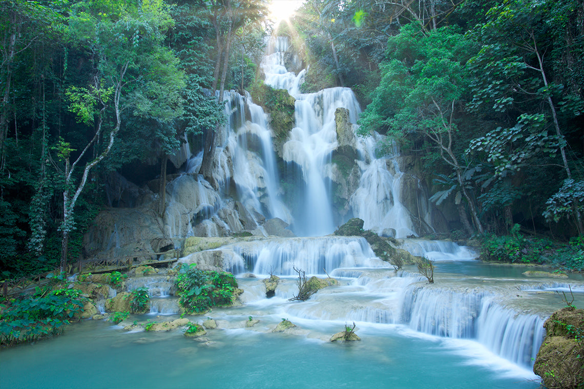 🌾 Rice is Life Experience & Kuang Si Waterfall – Authentic Laos Day Tour