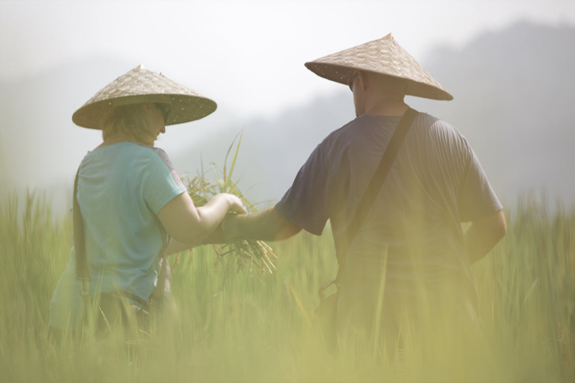 🌾 Rice is Life Experience & Kuang Si Waterfall – Authentic Laos Day Tour