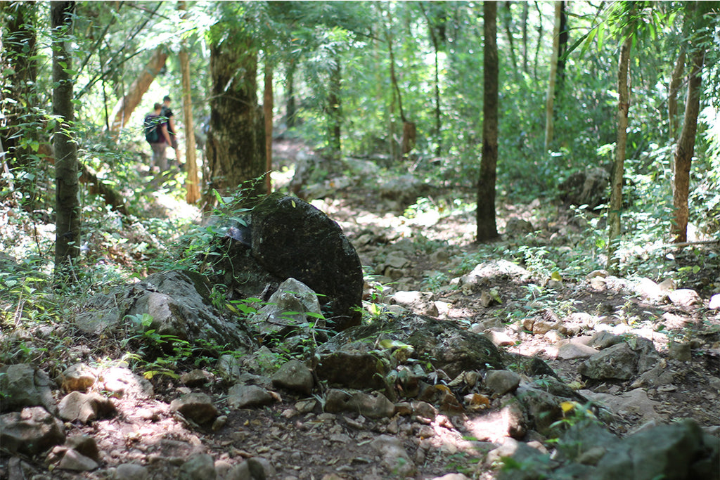 Kuang Si Waterfall Day Trek with Bear Sanctuary Visit